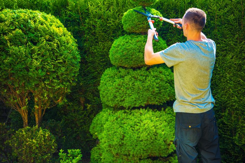 Tree Shaping
