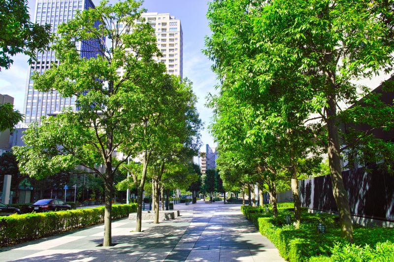 Functional Tree Structures